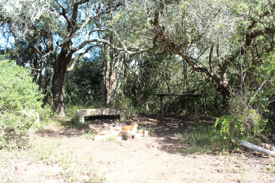 3 Bedroom Property for Sale in Bathurst Eastern Cape